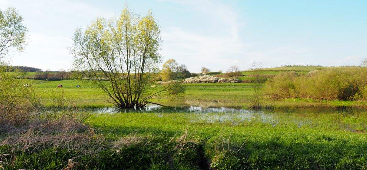 Kleinteilige Landschaft in Oberfranken