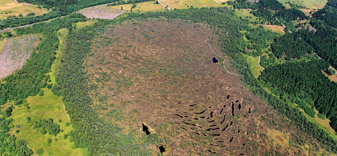 Im Norden der Hohen Röhn erstreckt sich das Schwarze Moor. Eines der bedeutendsten bayerischen Hochmoore